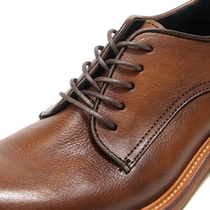 Formele Schoenen Heren Elegante Retro Brogue Lederen Oxford-schoenen - Bruin