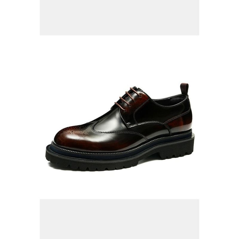 Formele Schoenen Heren Exotische Brogue-veterschoenen - Koffie