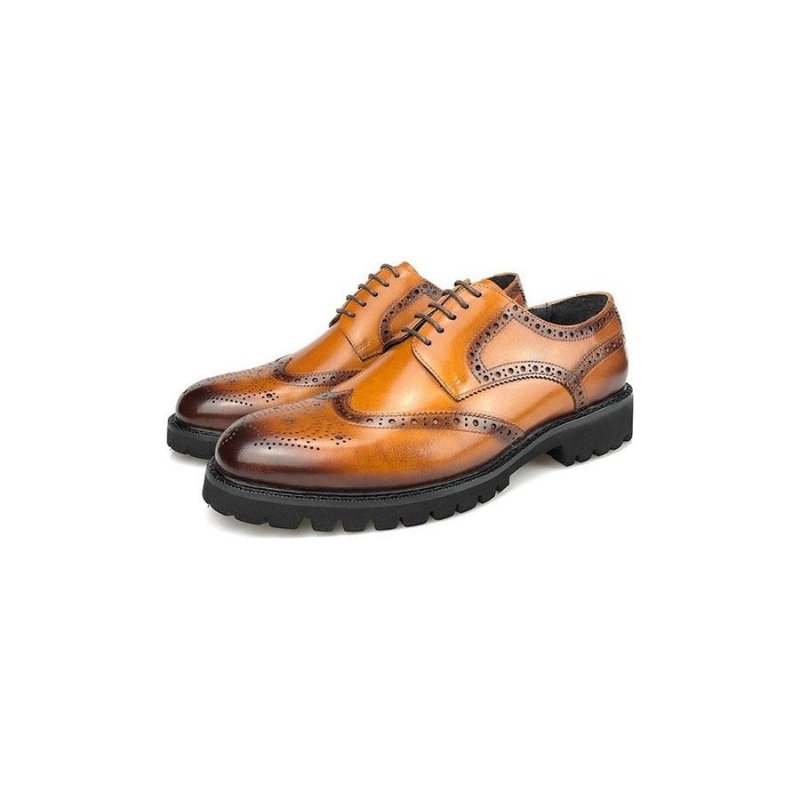 Formele Schoenen Heren Exotische Leren Brogueschoenen Met Veters - Koffie