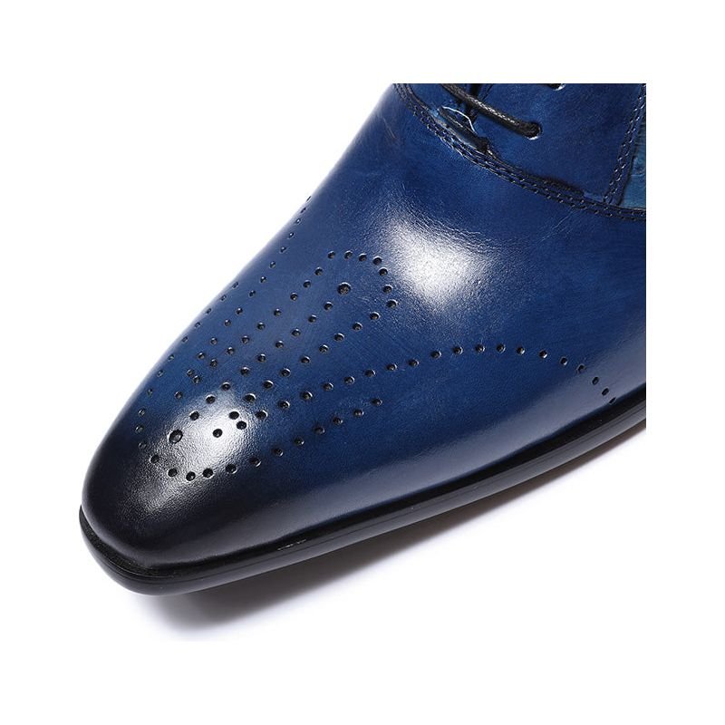 Formele Schoenen Heren Exotische Oxford-brogue-casual Met Veters - Blauw