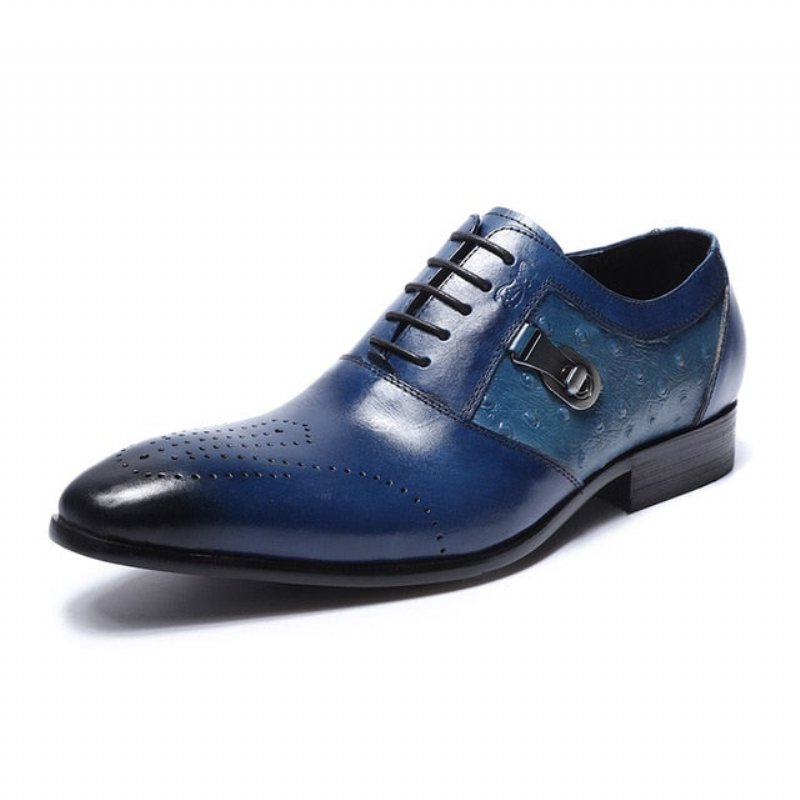 Formele Schoenen Heren Exotische Oxford-brogue-casual Met Veters - Blauw