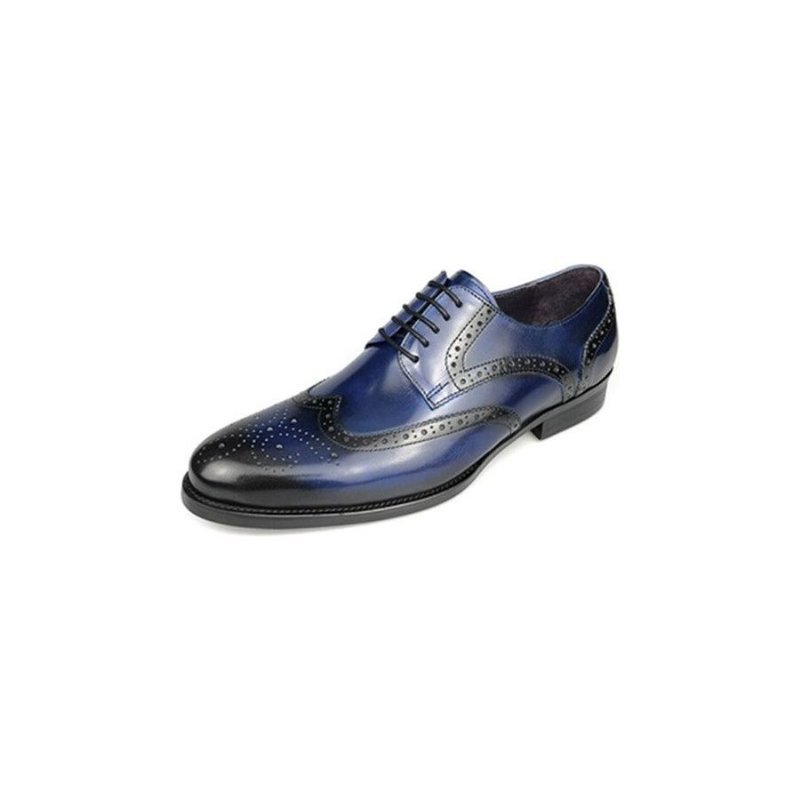 Formele Schoenen Heren Exotische Rundlederen Oxford-schoenen Met Veters - Blauw