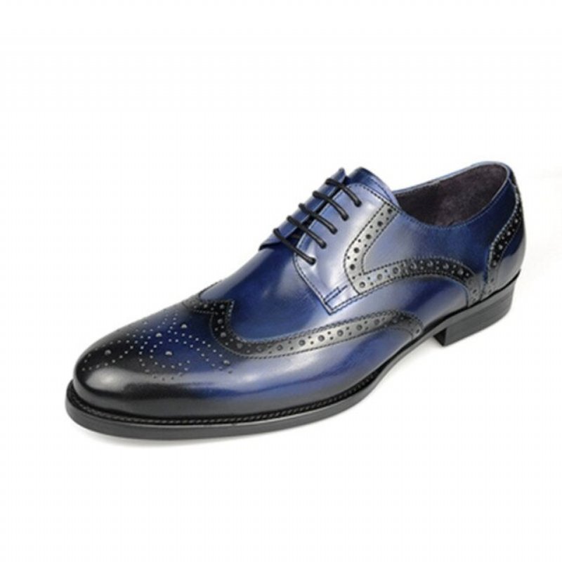 Formele Schoenen Heren Exotische Rundlederen Oxford-schoenen Met Veters - Blauw