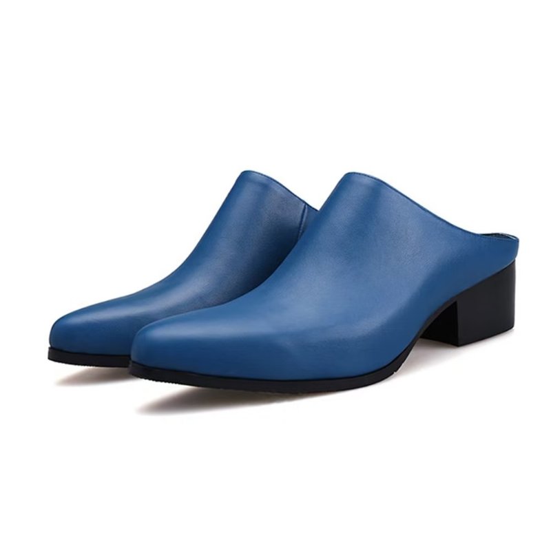 Formele Schoenen Heren Instappers Met Puntige Neus - Blauw