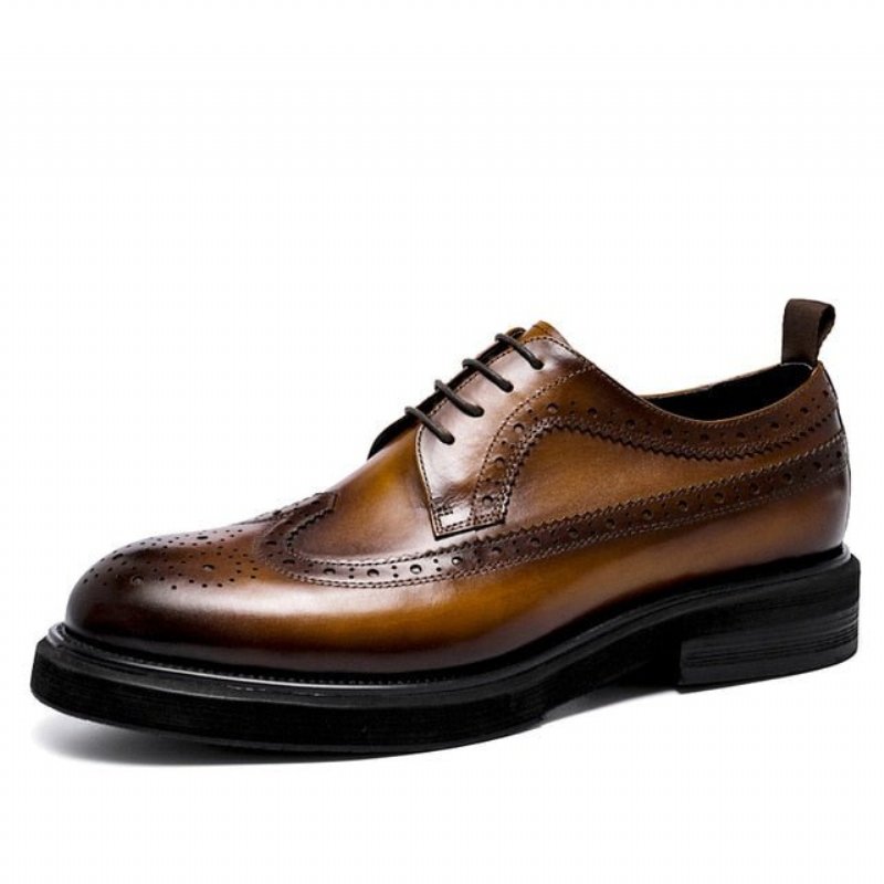 Formele Schoenen Heren Lederen Brogues Met Veters - Bruin