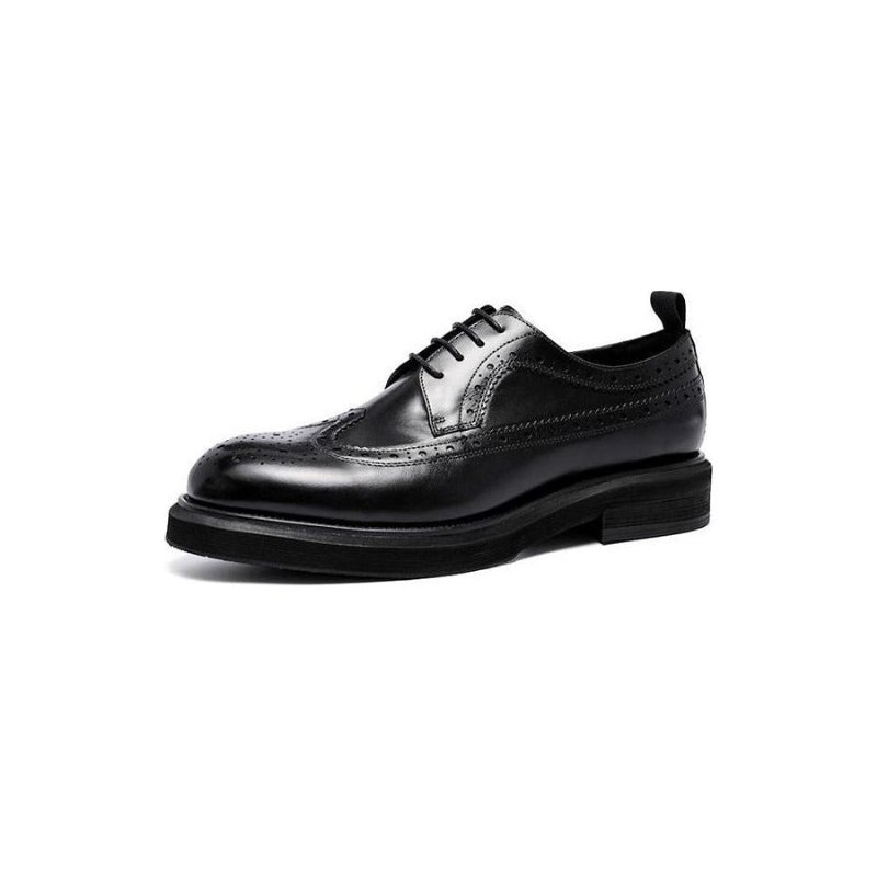 Formele Schoenen Heren Lederen Brogues Met Veters