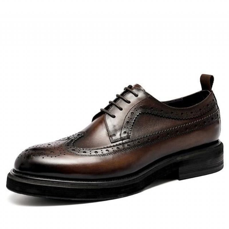 Formele Schoenen Heren Lederen Brogues Met Veters - Koffie