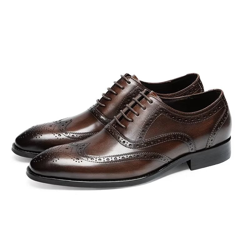 Formele Schoenen Heren Leren Brogues Met Veters - Koffie