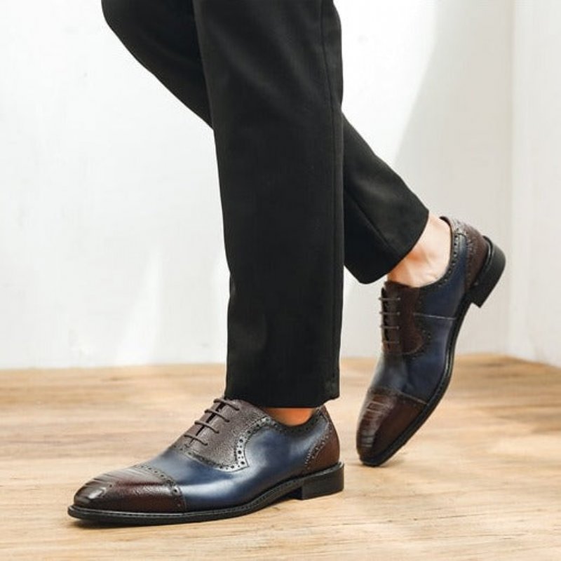 Formele Schoenen Heren Leren Oxford-schoenen Met Puntige Neus - Blauw