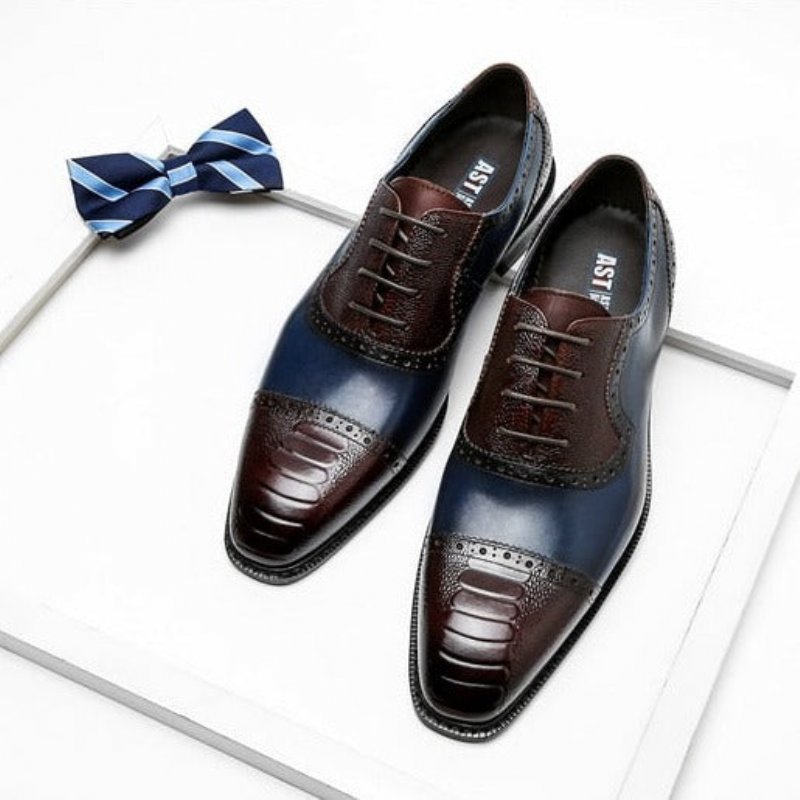 Formele Schoenen Heren Leren Oxford-schoenen Met Puntige Neus - Blauw