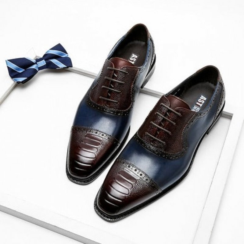 Formele Schoenen Heren Leren Oxford-schoenen Met Puntige Neus - Blauw