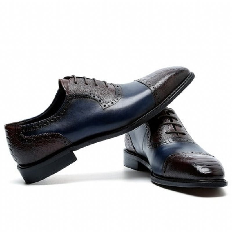 Formele Schoenen Heren Leren Oxford-schoenen Met Puntige Neus - Blauw