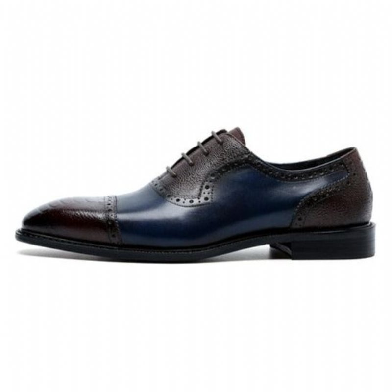 Formele Schoenen Heren Leren Oxford-schoenen Met Puntige Neus - Blauw