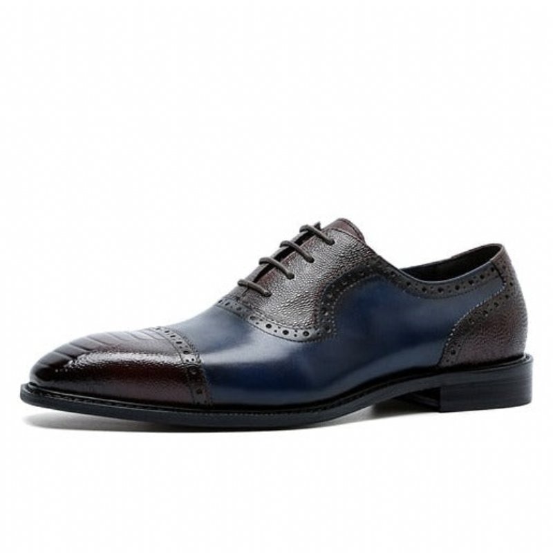 Formele Schoenen Heren Leren Oxford-schoenen Met Puntige Neus - Blauw