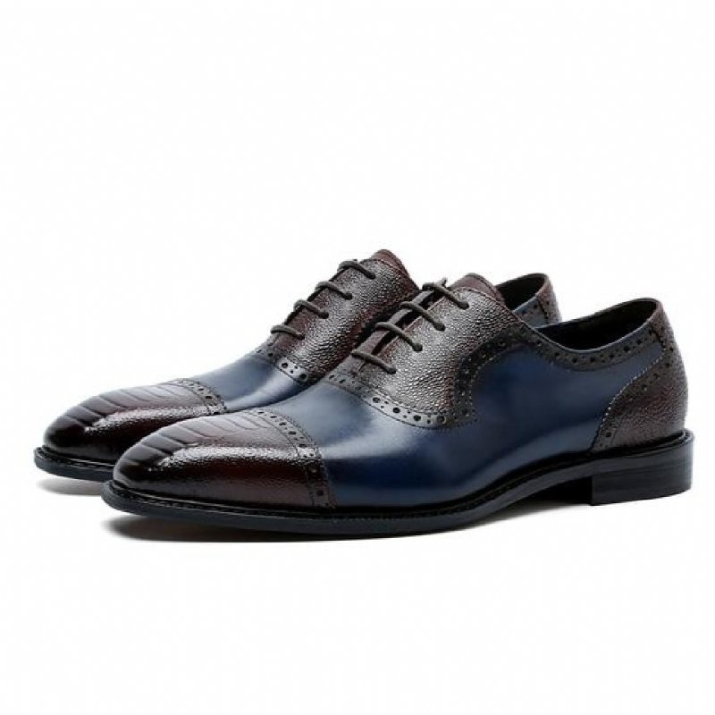 Formele Schoenen Heren Leren Oxford-schoenen Met Puntige Neus - Blauw