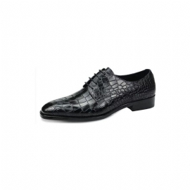 Formele Schoenen Heren Luxe Elegante Brogueschoenen Krokodillenleer