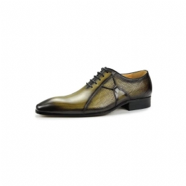 Formele Schoenen Heren Luxe Leer Chic Weelderige Bruidsbrogues