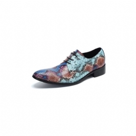 Formele Schoenen Heren Luxe Nette Derbyschoenen Met Exotisch Patroon