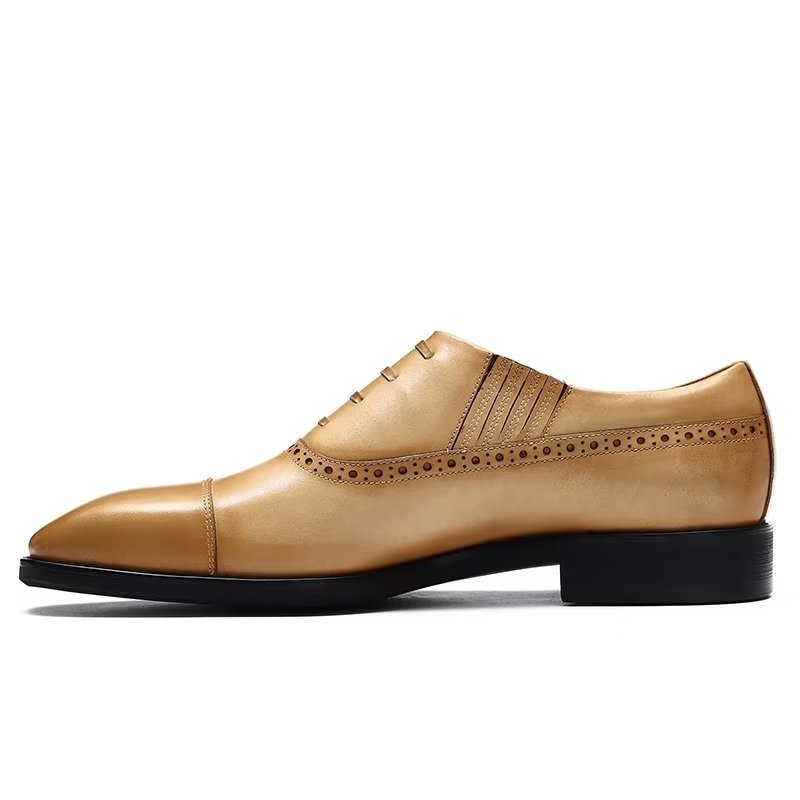 Formele Schoenen Heren Oxford-casual Met Veters - Bruin