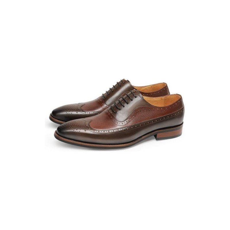 Formele Schoenen Heren Puntige Brogues Met Veters - Koffie