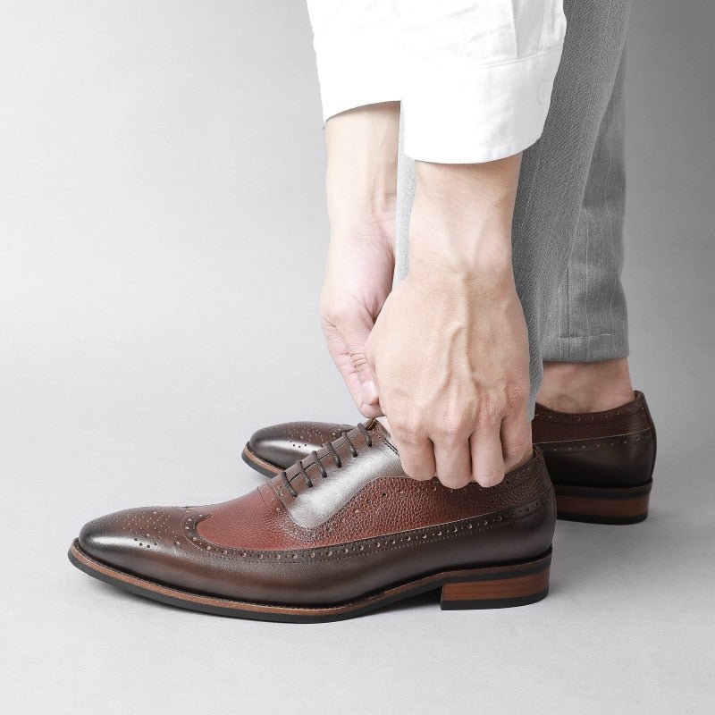 Formele Schoenen Heren Puntige Brogues Met Veters - Koffie