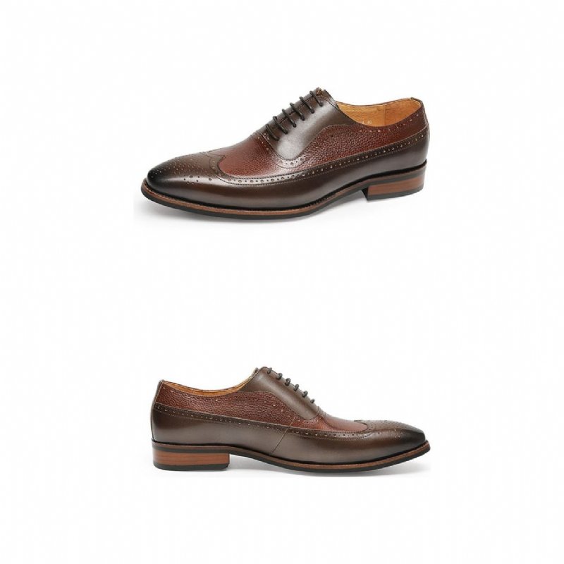 Formele Schoenen Heren Puntige Brogues Met Veters - Koffie