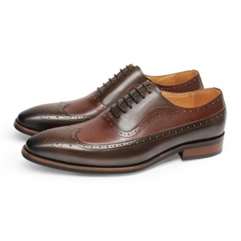 Formele Schoenen Heren Puntige Brogues Met Veters - Koffie