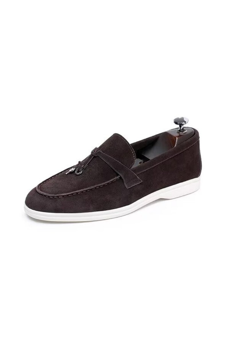 Herenloafers Leren Loafers