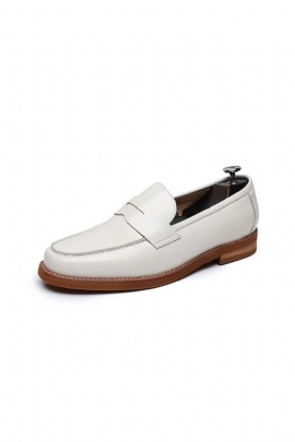 Herenloafers Leren Loafers