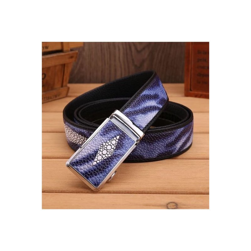 Herenriemen Modieuze Statement-riem - Blauw