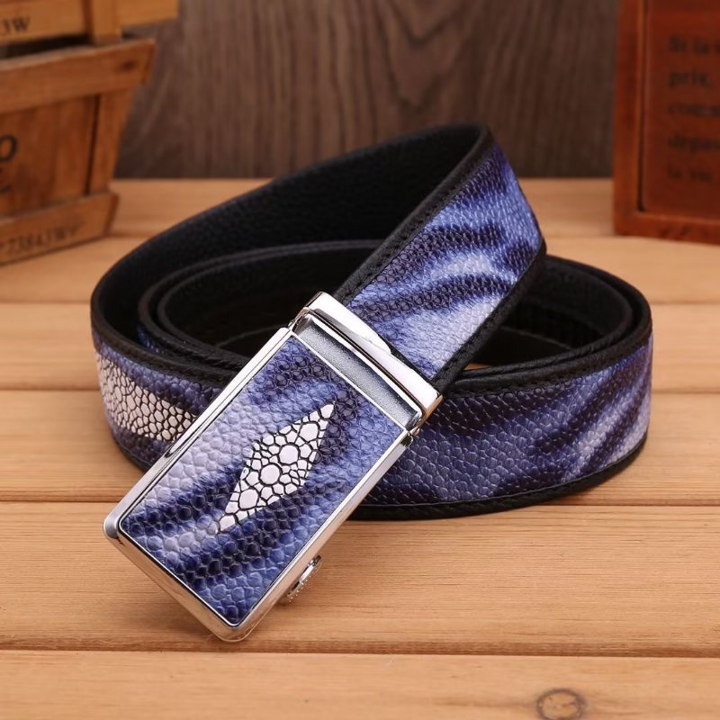 Herenriemen Modieuze Statement-riem - Blauw