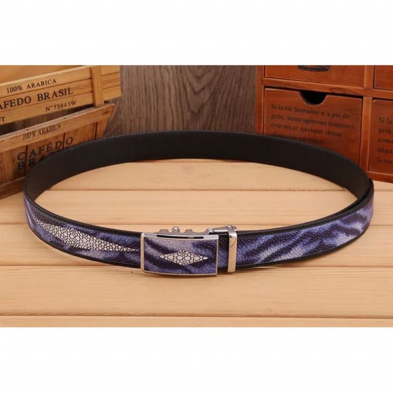 Herenriemen Modieuze Statement-riem - Blauw