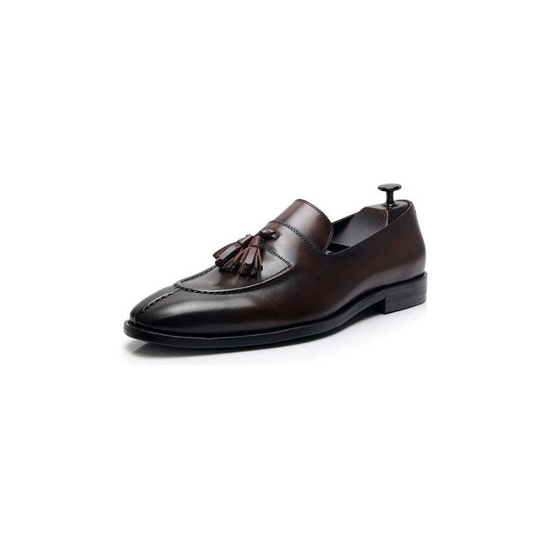 Loafers Heren Exotisch Leer Oxford-instappers - Koffie