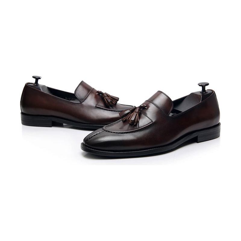 Loafers Heren Exotisch Leer Oxford-instappers - Koffie