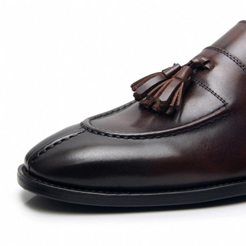 Loafers Heren Exotisch Leer Oxford-instappers - Koffie