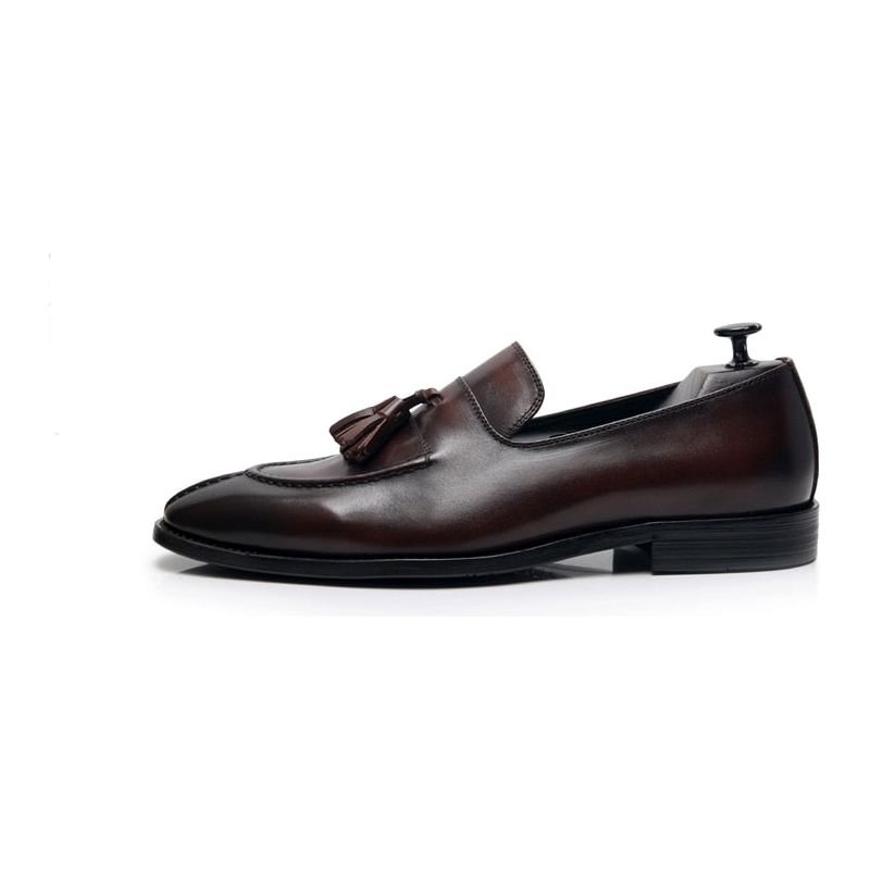 Loafers Heren Exotisch Leer Oxford-instappers - Koffie