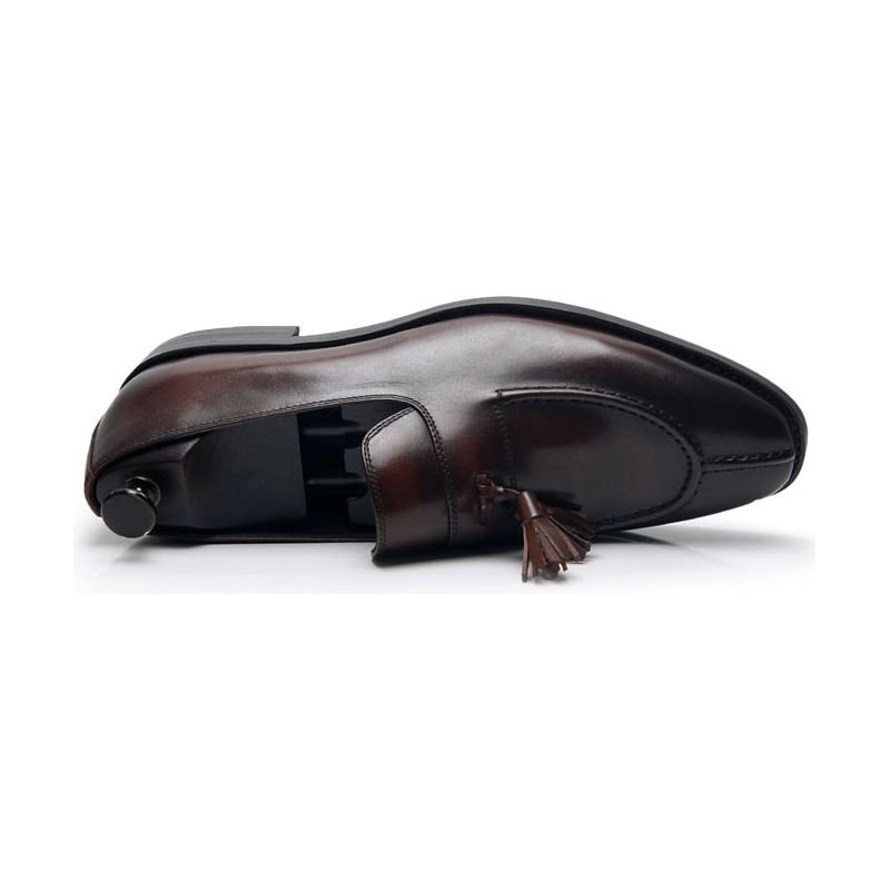 Loafers Heren Exotisch Leer Oxford-instappers - Koffie