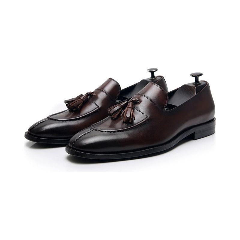 Loafers Heren Exotisch Leer Oxford-instappers - Koffie