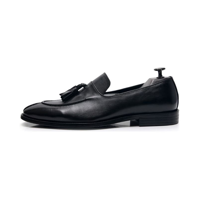 Loafers Heren Exotisch Leer Oxford-instappers - Zwart