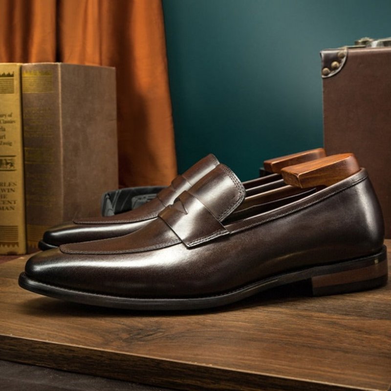 Loafers Heren Exotische Brogueschoenen Met Puntige Neus - Koffie