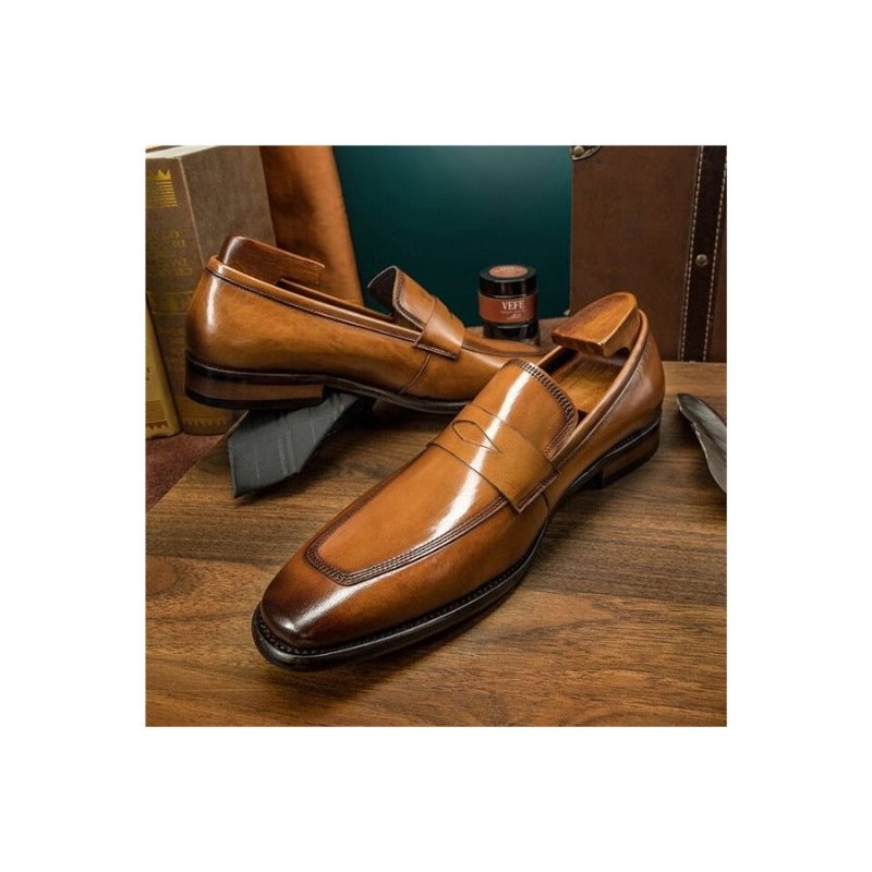 Loafers Heren Exotische Brogueschoenen Met Puntige Neus - Bruin