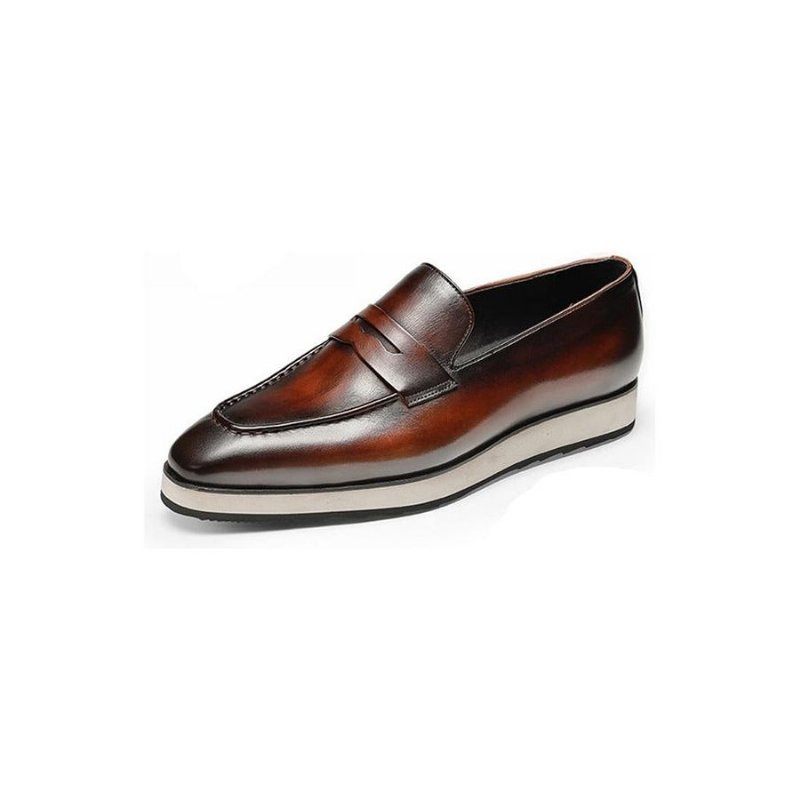 Loafers Heren Exotische Instapbrogues Met Puntige Neus