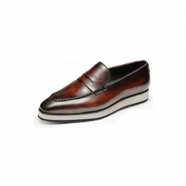 Loafers Heren Exotische Instapbrogues Met Puntige Neus