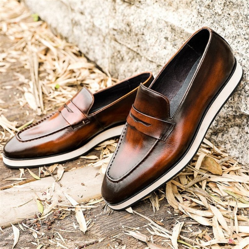 Loafers Heren Exotische Instapbrogues Met Puntige Neus - Koffie