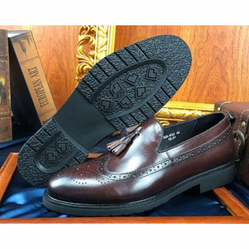 Loafers Heren Exotische Instapbrogueschoenen - Koffie