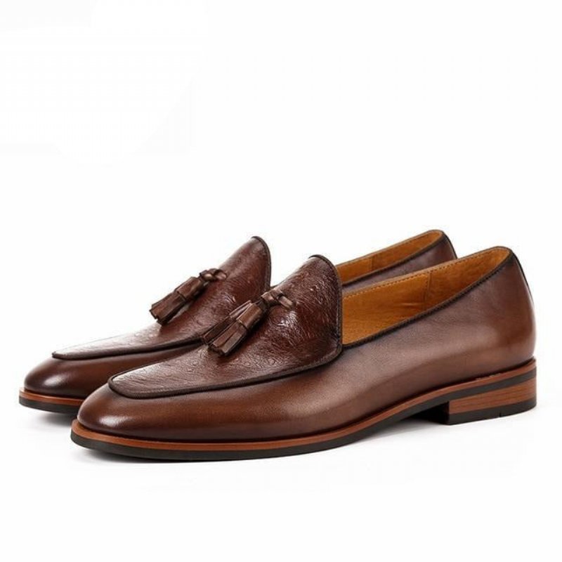 Loafers Heren Exotische Instaploafers - Koffie