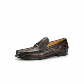 Loafers Heren Exotische Instaploafers Met Metalen Neus