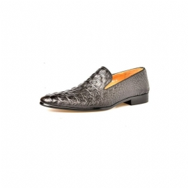 Loafers Heren Luxe Croctex-instappers Met Puntige Neus