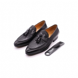 Loafers Heren Luxe Exotische Instaploafers