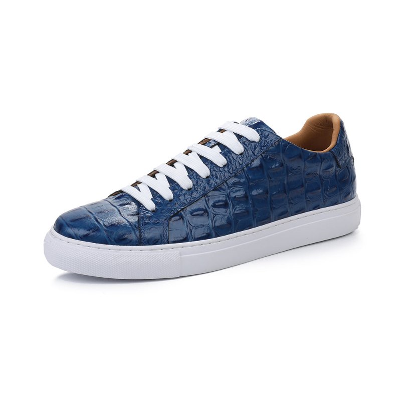 Vrijetijdsschoenen Heren Exotische Veterschoenen - Blauw